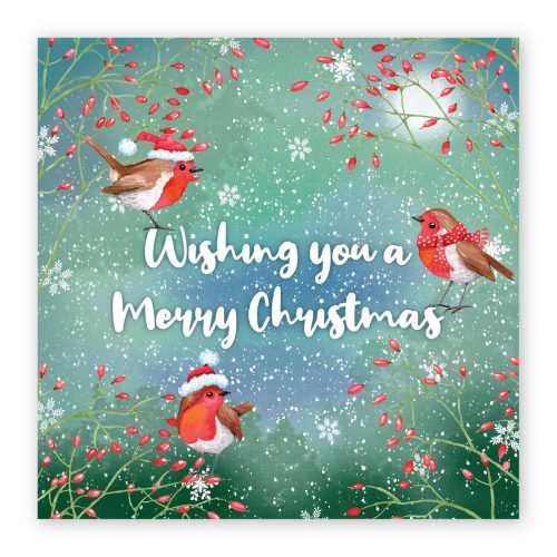 Christmas Card -  Three Little Robins (pack of 10)