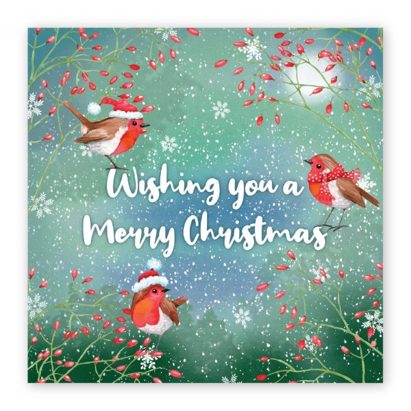 Christmas Card -  Three Little Robins (pack of 10)