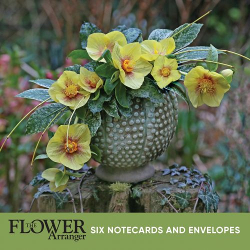 Notecards, Changing Seasons