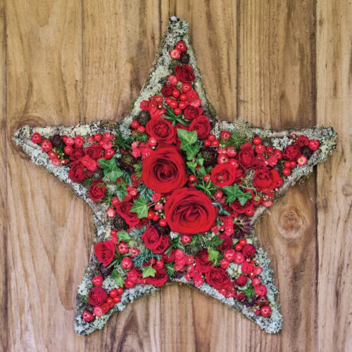 Christmas Card -  Star Turn (Packs of 10)