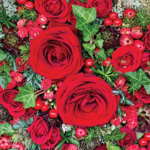 Christmas Card -  Star Turn Detail (Packs of 10)